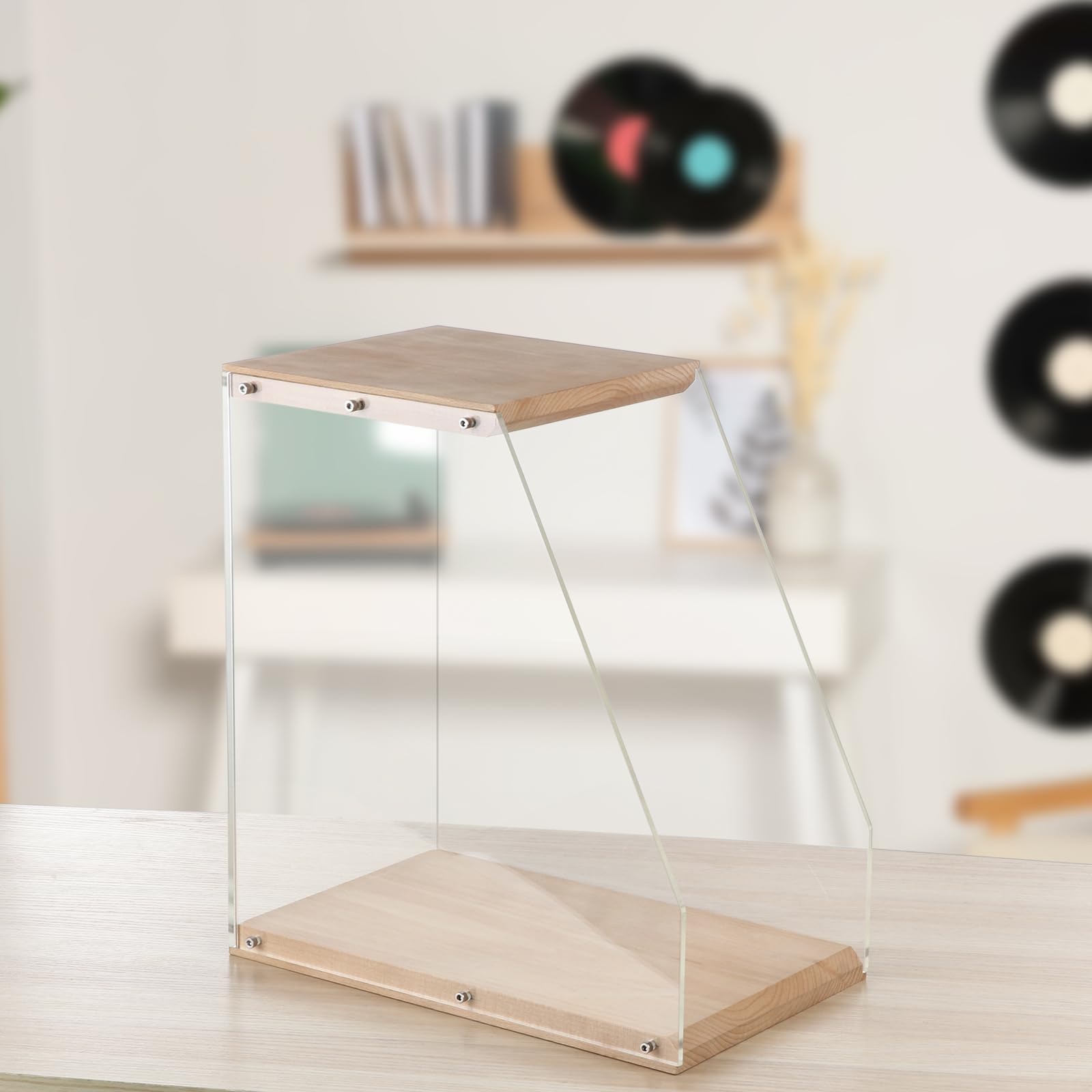 Custodia per dischi in vinile, - Phone Cases The Dairy recensione e prezzo